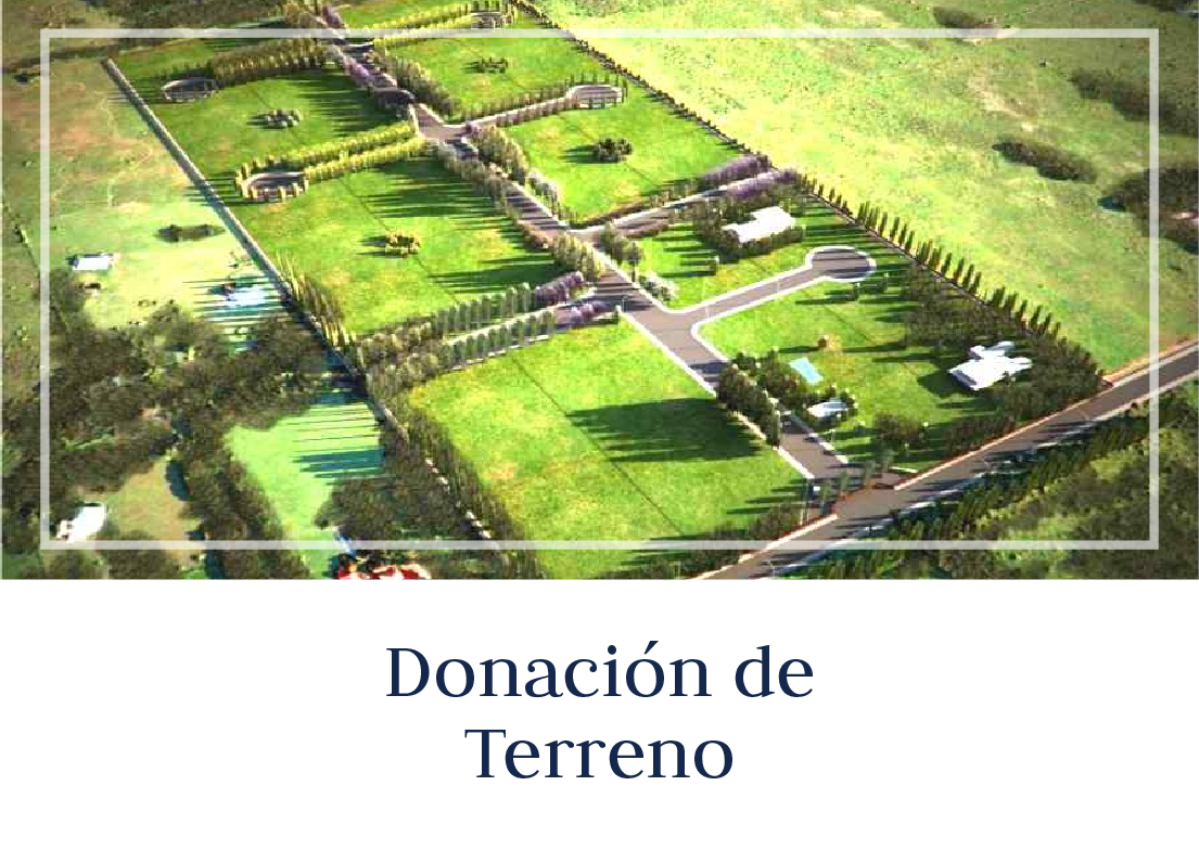 Carta De Donacion De Terreno Mexico www.notaria3pv.com